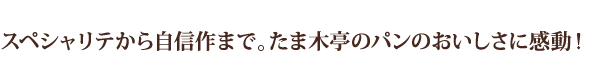 スペシャリテから自信作まで。たま木亭のパンのおいしさに感動！
