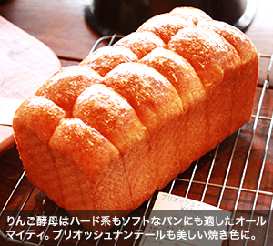 りんご酵母はハード系もソフトなパンにも適したオールマイティ。ブリオッシュナンテールも美しい焼き色に。