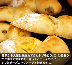 実家から大量に送られてきたシソをどうパンに使おうかと考えて生まれた「青じそとチーズのエピ」。シソとチーズのマリアージュを味わって。