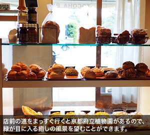 店前の道をまっすぐ行くと京都府立植物園があるので、緑が目に入る癒しの風景を望むことができます。