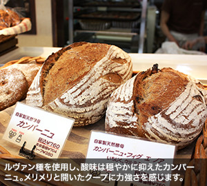 ルヴァン種を使用し、酸味は穏やかに抑えたカンパーニュ。メリメリと開いたクープに力強さを感じます。