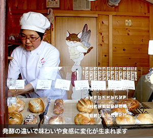 発酵の違いで味わいや食感に変化が生まれます
