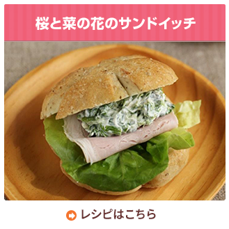 桜と菜の花のサンドイッチ