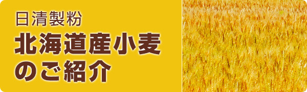 日清製粉 北海道産小麦のご紹介