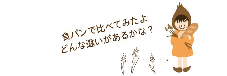 食パンで比べてみたよ　どんな違いがあるかな？