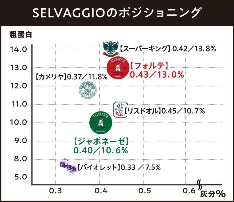 SELVAGGIOのポジショニング