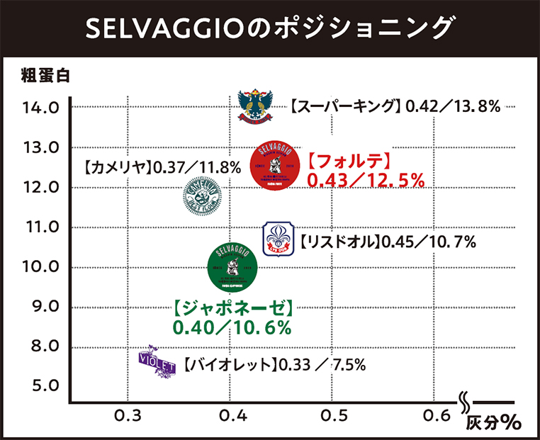 SELVAGGIOのポジショニング