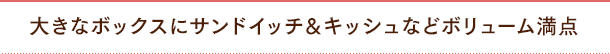 大きなボックスにサンドイッチ&キッシュなどボリューム満点