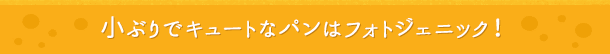 小ぶりでキュートなパンはフォトジェニック！