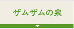 ザムザムの泉