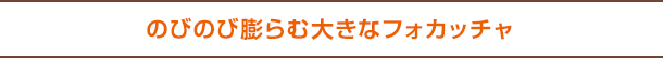 のびのび膨らむ大きなフォカッチャ