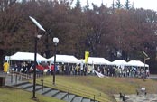 晴れていたら、世田谷公園でのんびりお散歩パンができたのにと残念