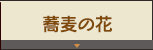 蕎麦の花