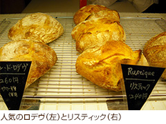 人気のロデヴ（左）とリスティック（右）