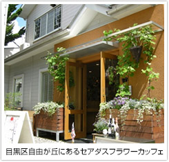 目黒区自由が丘にあるセアダスフラワーカッフェ