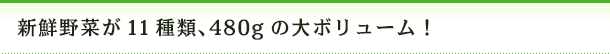 新鮮野菜が11種類、480gの大ボリューム！