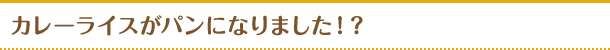 カレーライスがパンになりました！？
