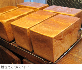焼きたてのパン・ド・ミ