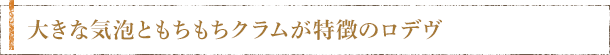 大きな気泡ともちもちクラムが特徴のロデヴ