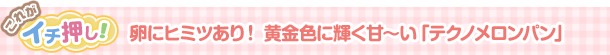 卵にヒミツあり！　黄金色に輝く甘～い「テクノメロンパン」