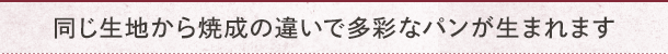 同じ生地から焼成の違いで多彩なパンが生まれます