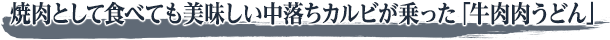 焼肉として食べても美味しい中落ちカルビが乗った「牛肉肉うどん」