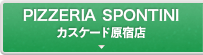 PIZZERIA SPONTINI（ピッツェリア スポンティーニ）カスケード原宿店