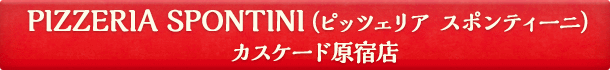 PIZZERIA SPONTINI（ピッツェリア スポンティーニ）カスケード原宿店