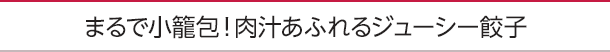 まるで小籠包！肉汁あふれるジューシー餃子
