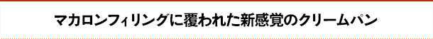 マカロンフィリングに覆われた新感覚のクリームパン
