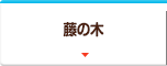藤の木