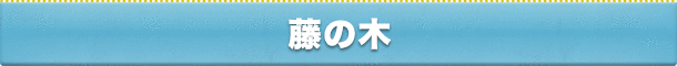 藤の木