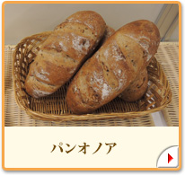 パンオノア