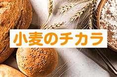 小麦のチカラ