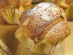 ベ－クトップア－モンドH