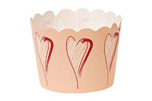 NP-6（50H）ハ－ト 片艶晒