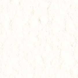 ライスフラワ－ P　（米粉）