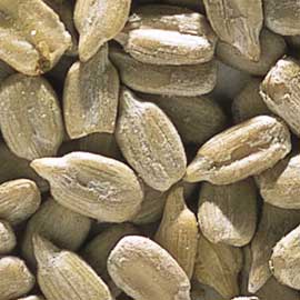 ひまわりの種ＳＬ－７０