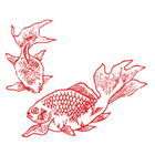 （赤）金魚